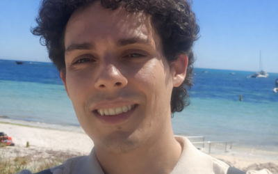 From Hierarchies to DAOs. By Leonardo Albuquerque de Abreu.