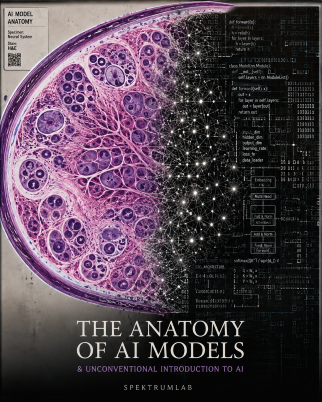 The anatomy of AI models & an unconventional introduction to AI.